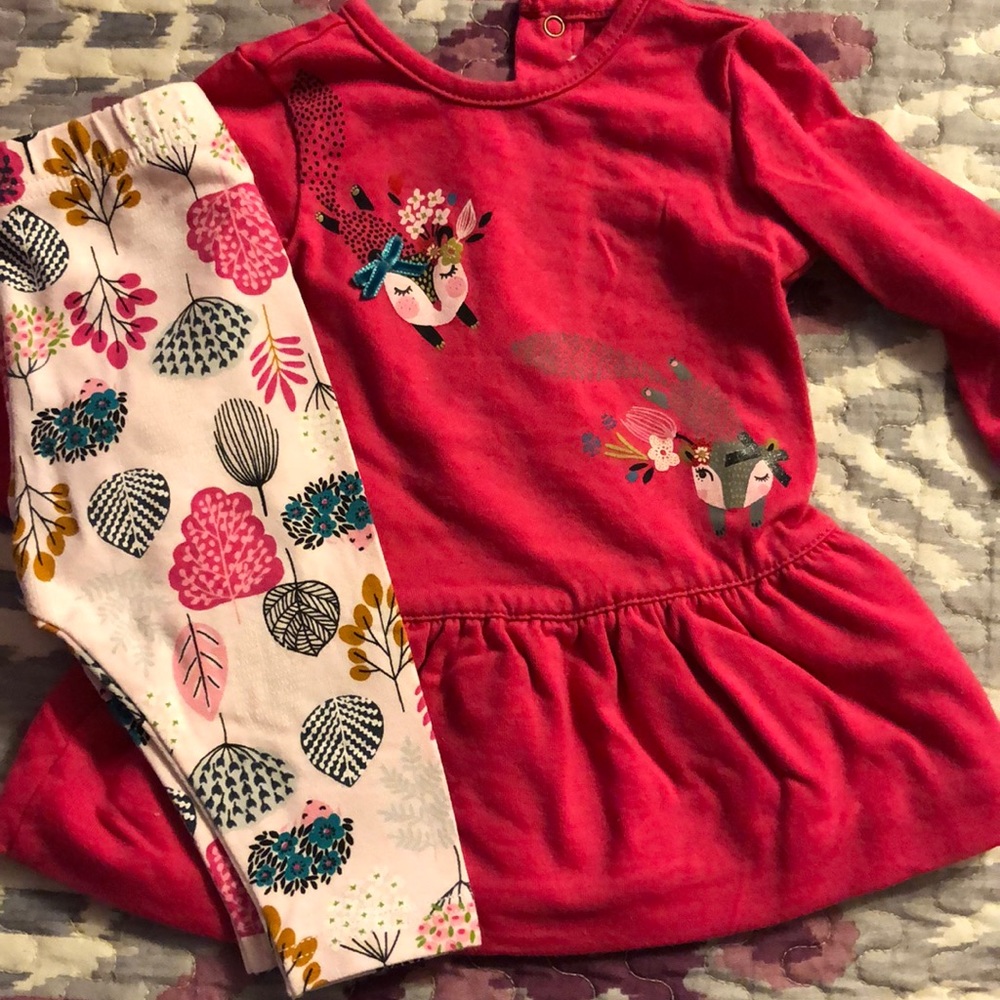 Catimini hedgehog outfit